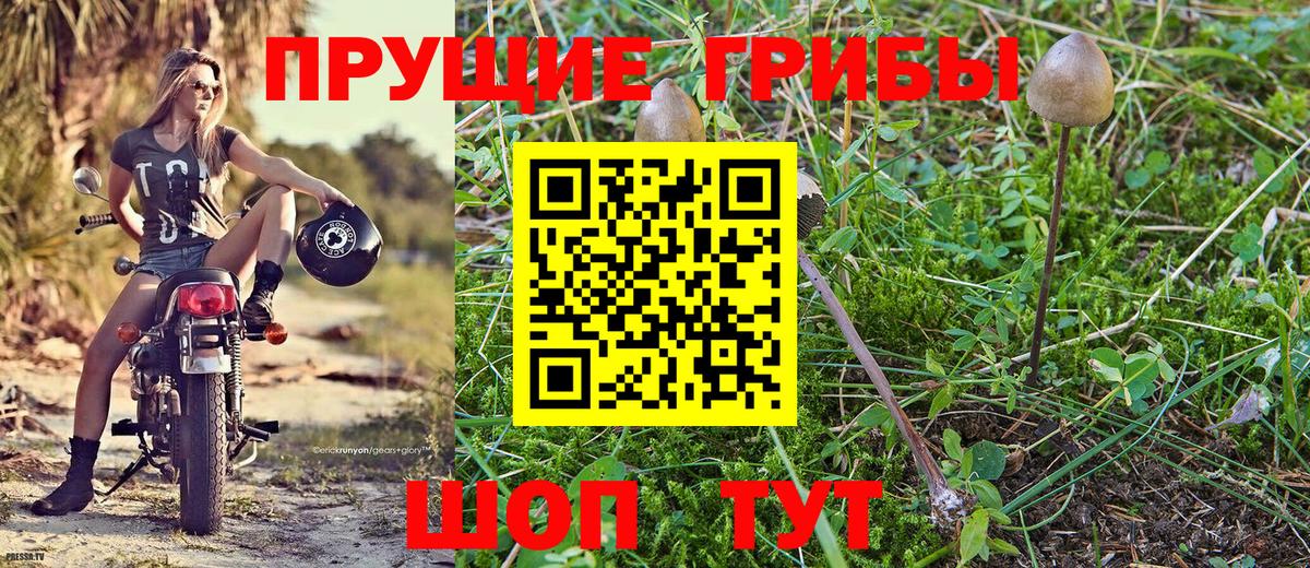 Псилоцибиновые грибы ЛСД  Вход с VPN  Симферополь 
